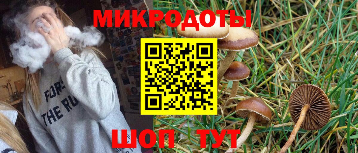 что такое наркотик  Вход с VPN  Куйбышев  Галлюциногенные грибы GOLDEN TEACHER 